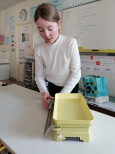 IMG_20250304_155204