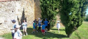 IMG-20250520-WA0012