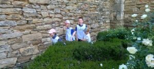 IMG-20250520-WA0017