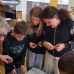 b7026a1e-8116-4242-a802-df060f4bbbc8